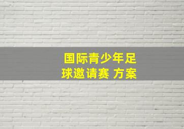 国际青少年足球邀请赛 方案